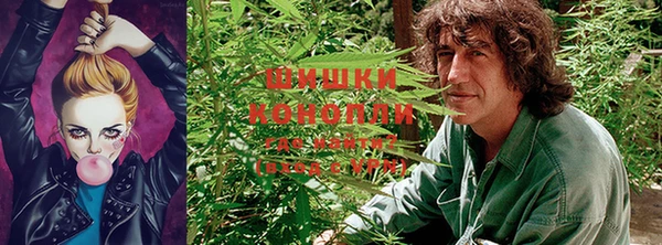 каннабис Белоозёрский