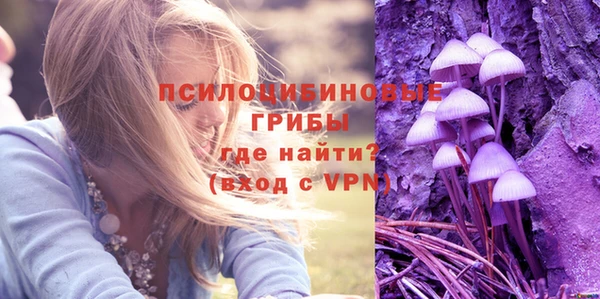 амфетамин Белокуриха
