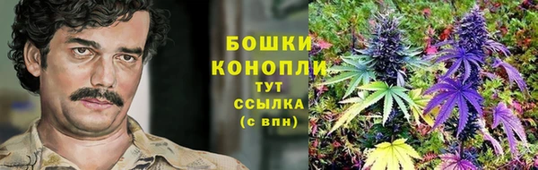 амфетамин Белокуриха