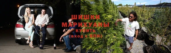 каннабис Шарыпово